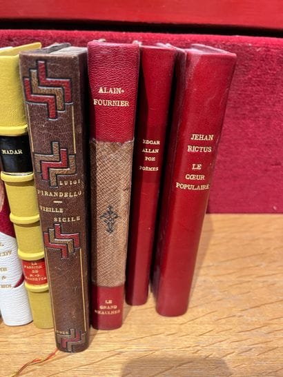 Lot of modern volumes. Claudine, Colette....