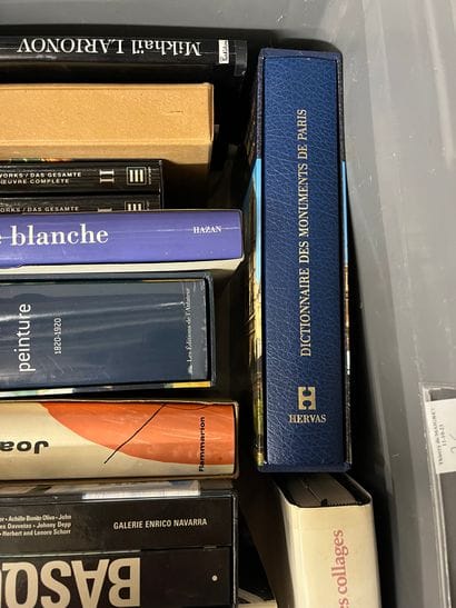 Case of art volumes including Basquiat, Gaudi...