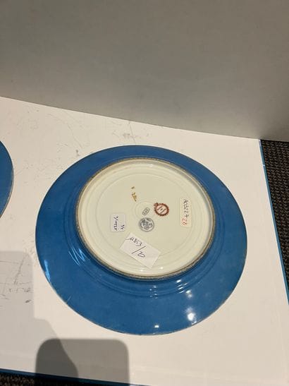 Pair of porcelain plates in the Sèvres style,...
