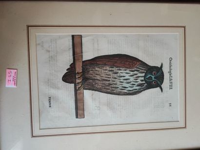 Lot of about 7 engravings and reproductions...