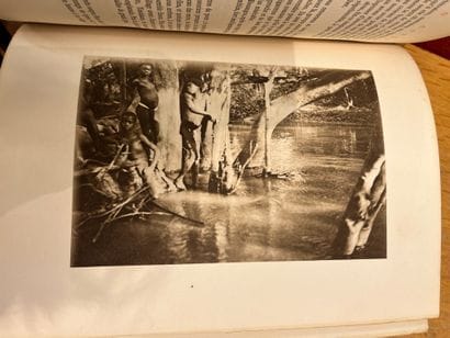 André Gide. Journey to the Congo. Suivi du...