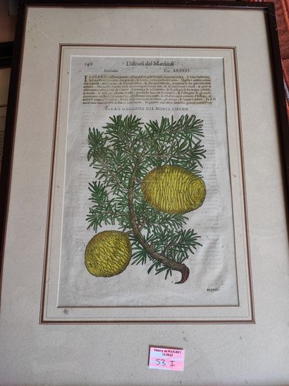 Lot of about 7 engravings and reproductions...