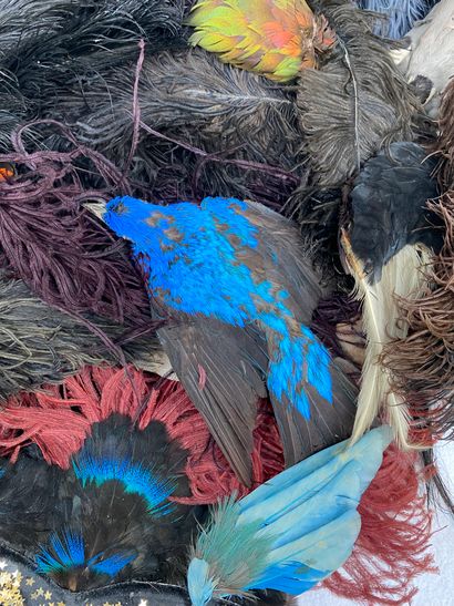 8 Lot of various feathers in different colors,...