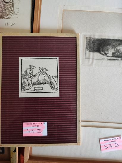 Set of approximately 14 reproductions, framed...