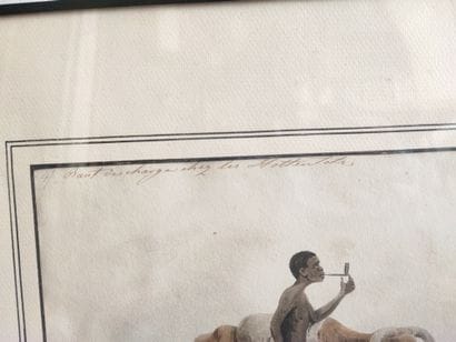 Bœuf de charge chez les...
Aquarelle et crayon...