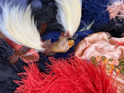 J -Lot of ostrich and bird feathers in various...