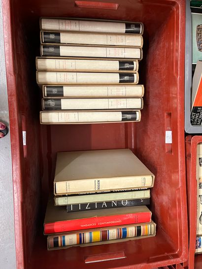 Two cases of SKIRA art volumes.