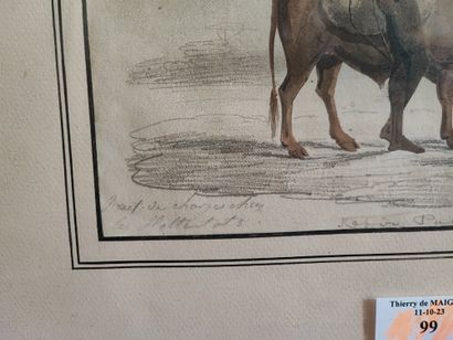 Bœuf de charge chez les...
Aquarelle et crayon...