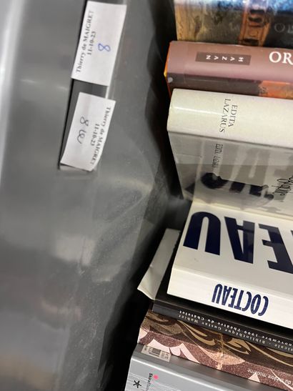 Two cases of art books including Carpaccio,...