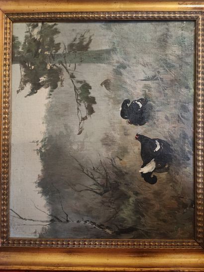 20th century school. Two capercaillie. Oil...