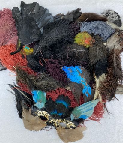 8 Lot of various feathers in different colors,...