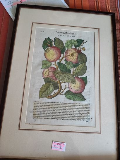 Lot of about 7 engravings and reproductions...