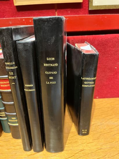 Lot of about 10 volumes. Benoit. Morand,...