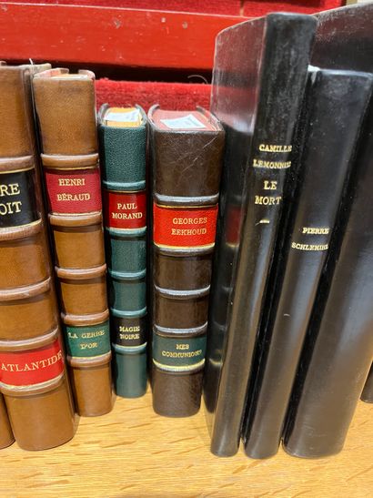 Lot of about 10 volumes. Benoit. Morand,...