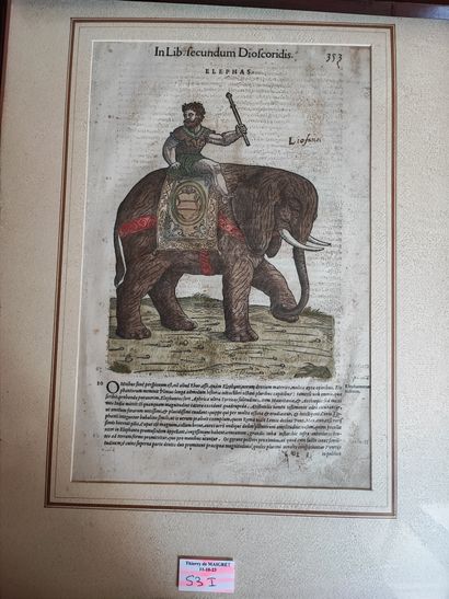 Lot of about 7 engravings and reproductions...