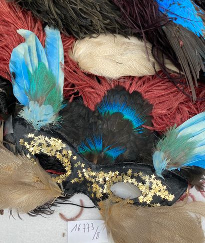 8 Lot of various feathers in different colors,...