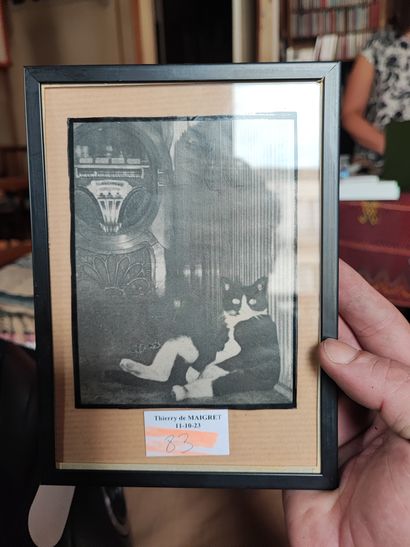 Lot de photographies et encadrés représentant...
