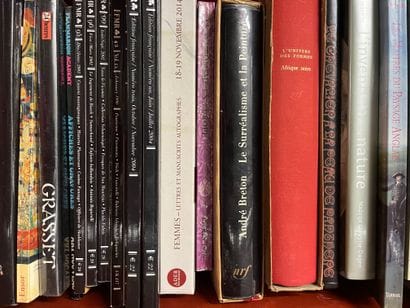 Two cases of art volumes including Gaudi,...