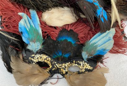 8 Lot of various feathers in different colors,...