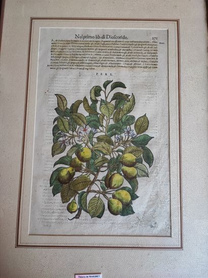 Lot of about 7 engravings and reproductions...