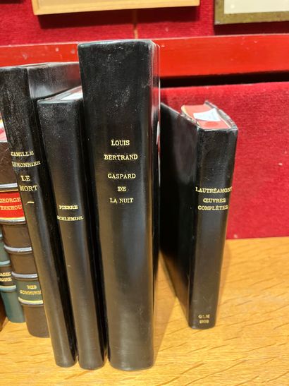 Lot of about 10 volumes. Benoit. Morand,...