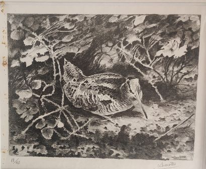 Gabriel CHEFSON, known as Lamotte. The woodcock....