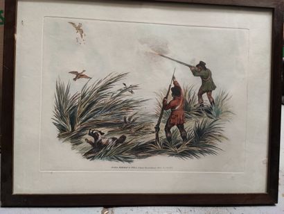 Hunting waterfowl. Pair of framed English...