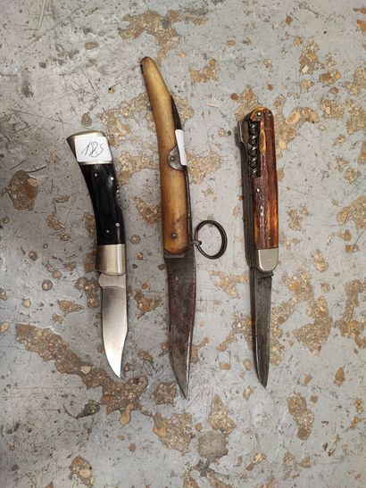 Folding Nogent knife, horn handle (Acc.)...