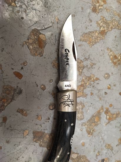 Folding Nogent knife, horn handle (Acc.)...