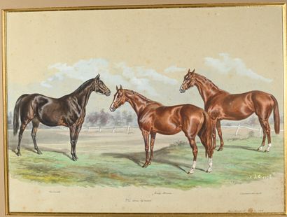 V. J. COTLISON (act.c.1890-?). The three...