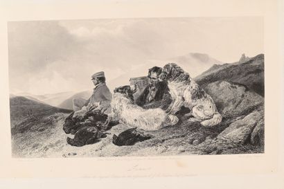 Richard AMSDELL. Rabbit. Grouses. Pair of...
