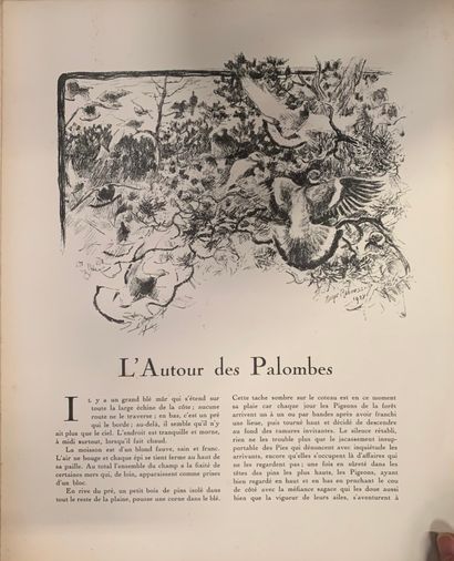 Roger REBOUSSIN. L'oiseau chez lui. Book...