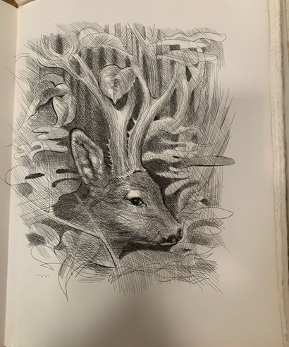 François de CUREL. Hunting, my great passion....