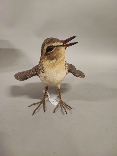 Sylvestrie. Small sandpiper in polychrome...