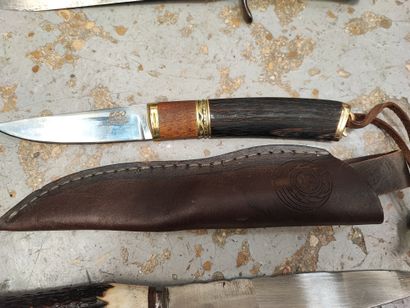 Stag handle straight hunting knife, 21.5...
