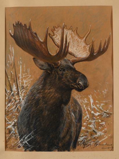 Gerhardt LOBENBERG. Elan. Color etching signed...