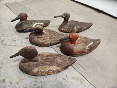 Set of five various ducks including milouins...
