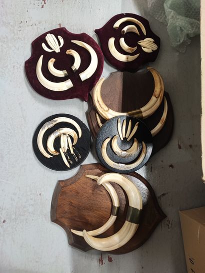 Strong set of boar tusks and stoneware on...