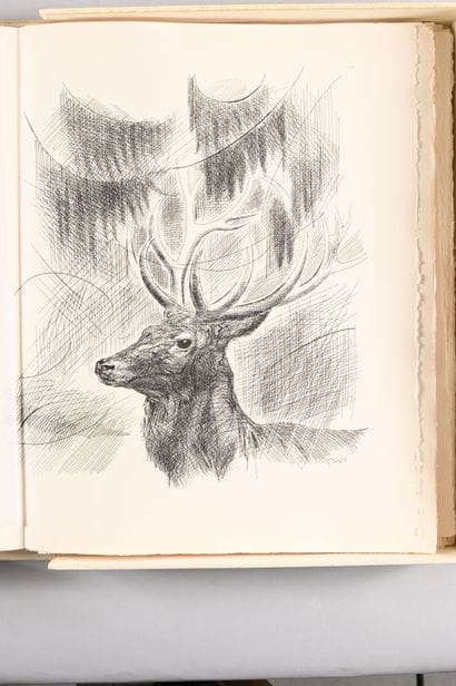 François de CUREL. Hunting, my great passion....