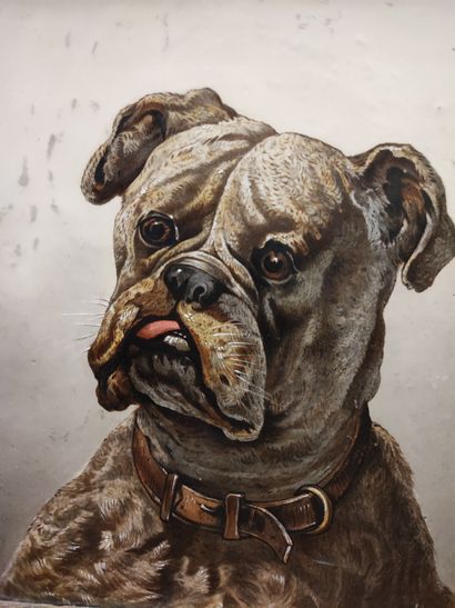 Portrait of a bulldog. Enameled porcelain...