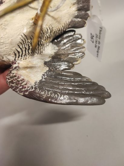 Sylvestrie. Drake thrush in polychrome terra...