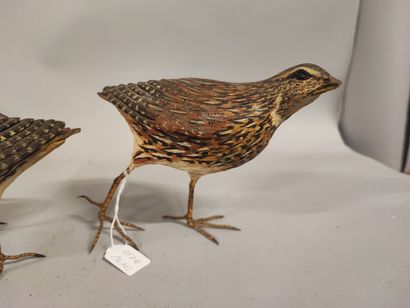 Sylvestrie. Polychrome terracotta quail....