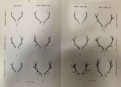 Deer. Books on the...- Guy BONNET, Serge...