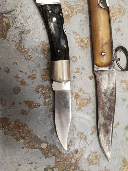 Folding Nogent knife, horn handle (Acc.)...
