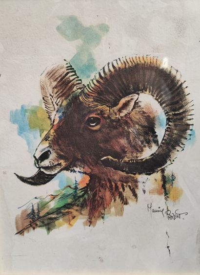 Maurice PARENT. Wild boar. Woodcock. Mouflon....