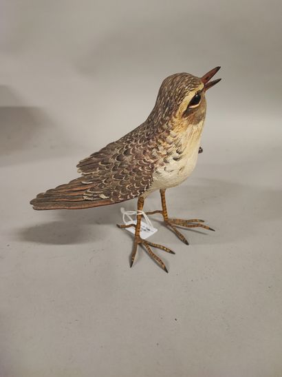 Sylvestrie. Small sandpiper in polychrome...