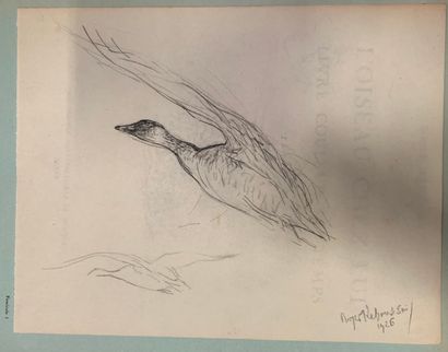 Roger REBOUSSIN. L'oiseau chez lui. Book...