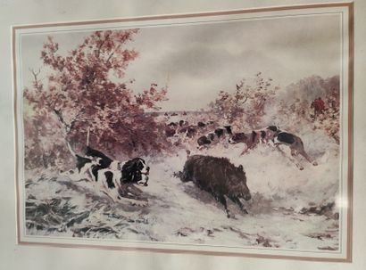 Emmanuel FRACHON. -Studies of wild boars....