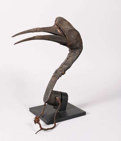 Bird's head mask in wood, leather and beak....