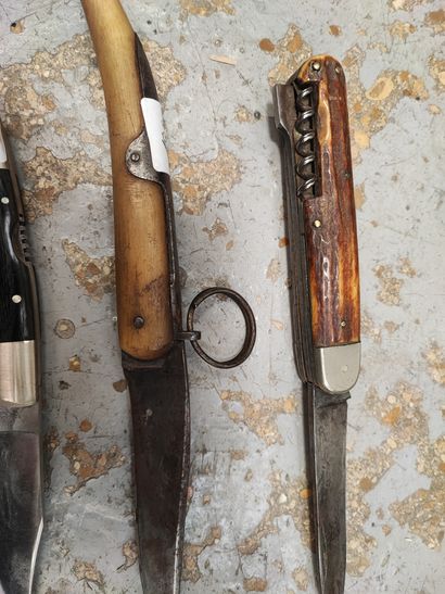 Folding Nogent knife, horn handle (Acc.)...